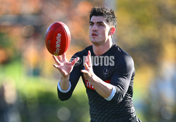 AFL 2025 Training - Collingwood 170625 - A-60093955