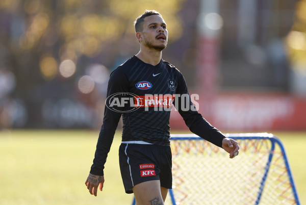 AFL 2025 Training - Collingwood 170625 - A-60099189