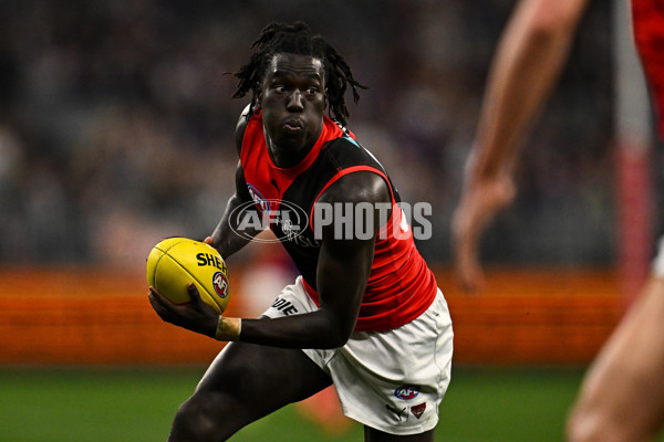 AFL 2025 Round 15 - Fremantle v Essendon - A-60106918