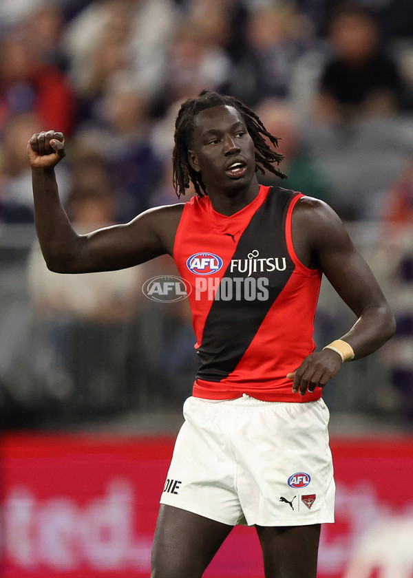 AFL 2025 Round 15 - Fremantle v Essendon - A-60112701