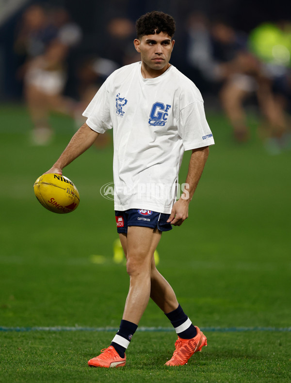 AFL 2025 Round 15 - Geelong v Brisbane - A-60122430