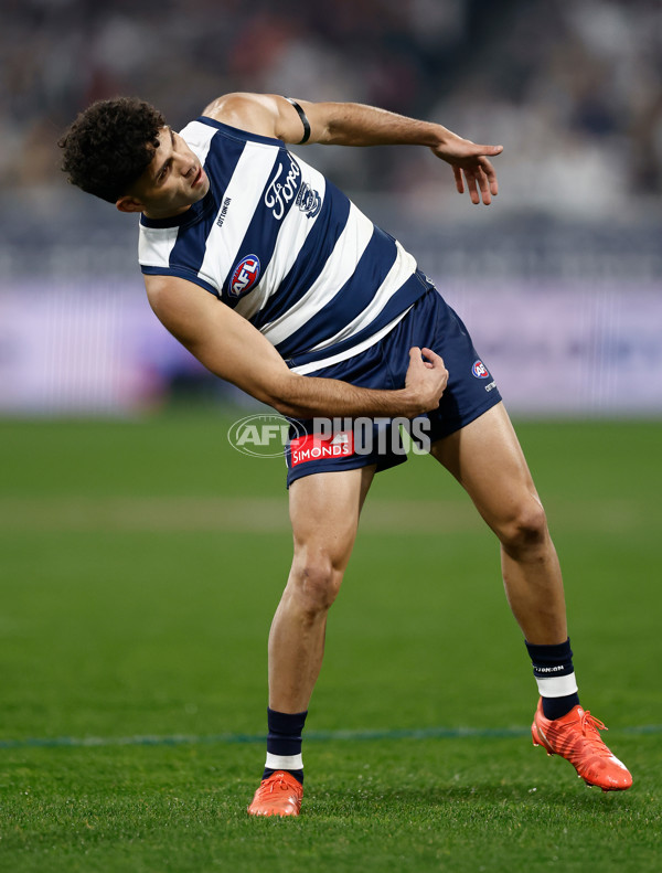 AFL 2025 Round 15 - Geelong v Brisbane - A-60124520