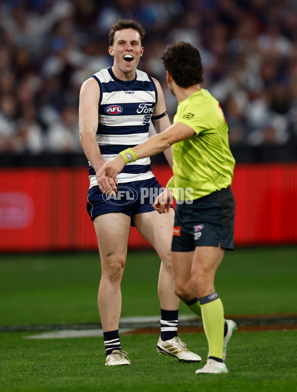 AFL 2025 Round 15 - Geelong v Brisbane - A-60124565