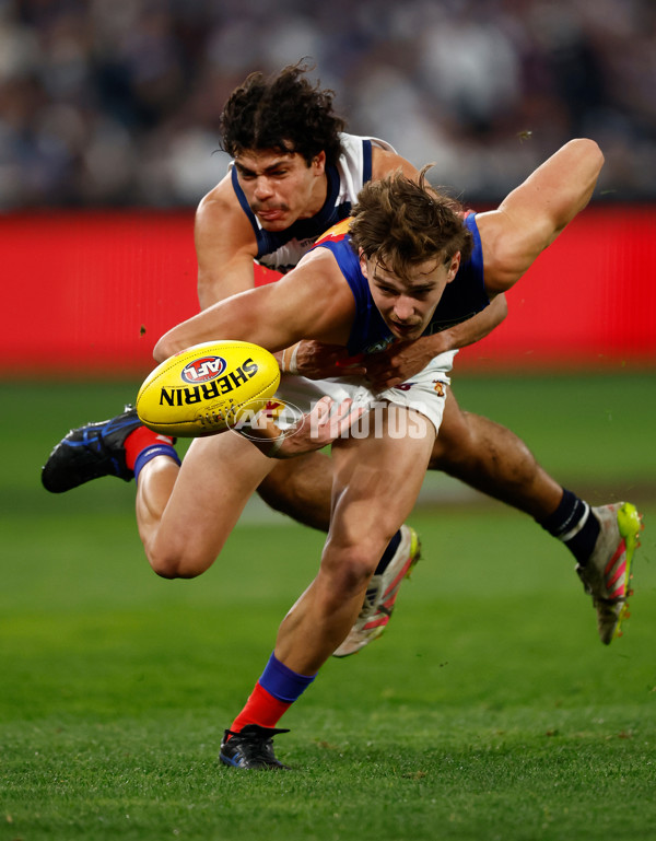AFL 2025 Round 15 - Geelong v Brisbane - A-60126491