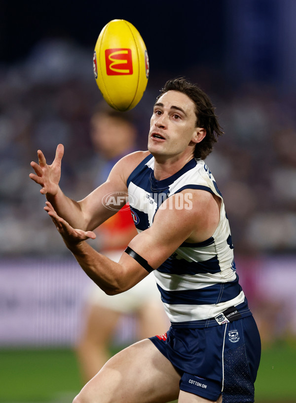 AFL 2025 Round 15 - Geelong v Brisbane - A-60126892