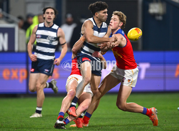 AFL 2025 Round 15 - Geelong v Brisbane - A-60129453