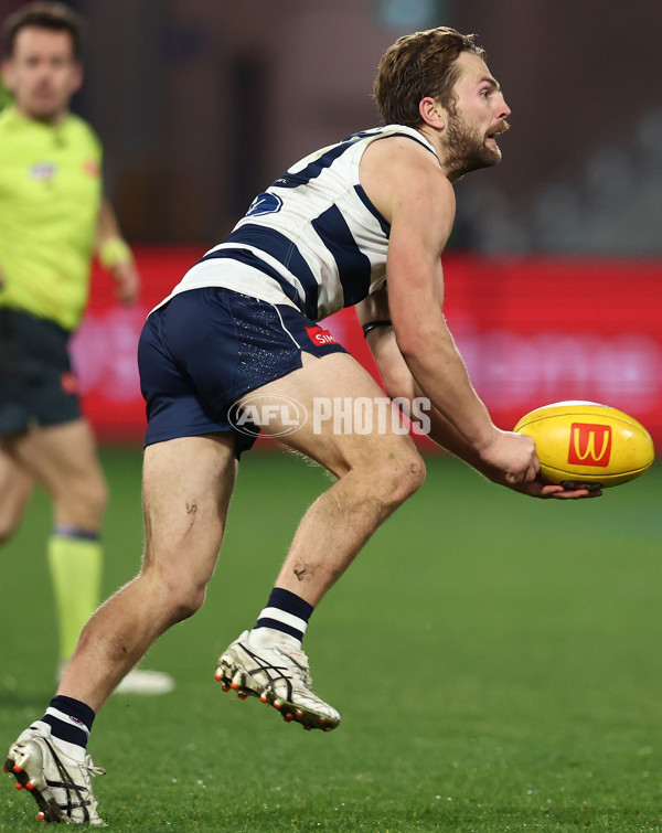 AFL 2025 Round 15 - Geelong v Brisbane - A-60131866