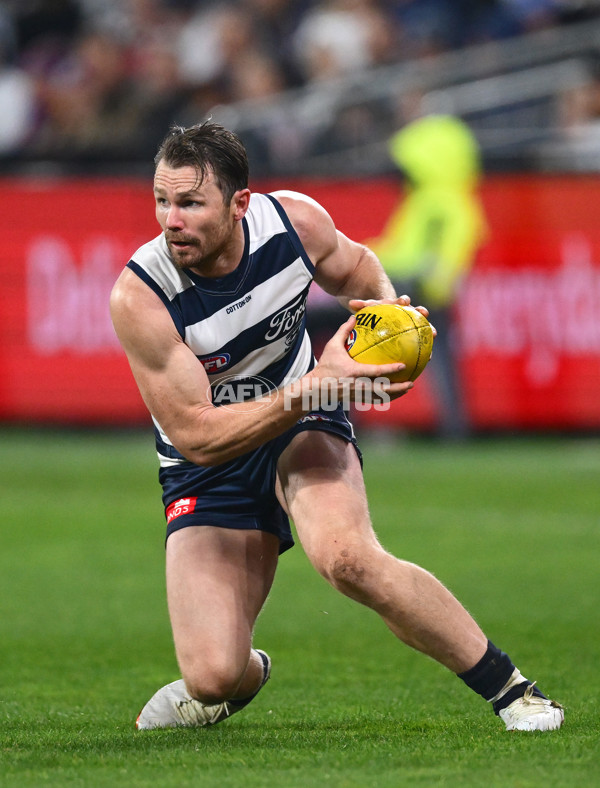 AFL 2025 Round 15 - Geelong v Brisbane - A-60131890