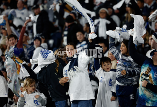 AFL 2025 Round 15 - Geelong v Brisbane - A-60132944