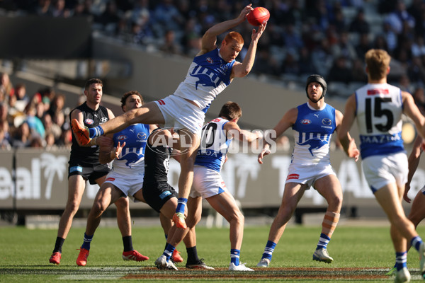 AFL 2025 Round 15 - Carlton v North Melbourne - A-60139955