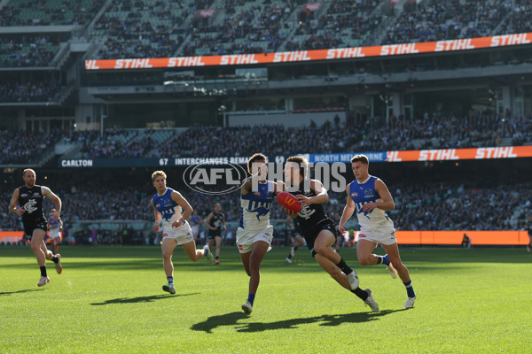 AFL 2025 Round 15 - Carlton v North Melbourne - A-60139976