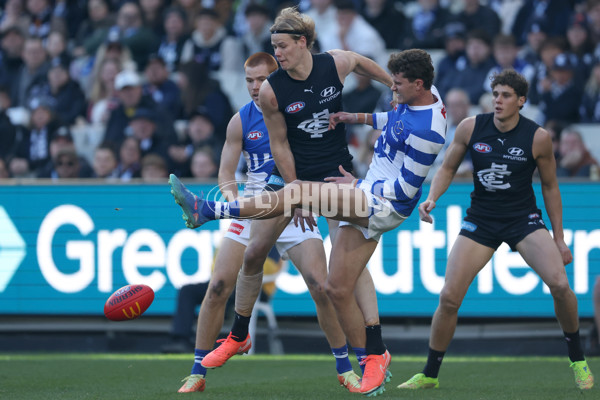 AFL 2025 Round 15 - Carlton v North Melbourne - A-60140018