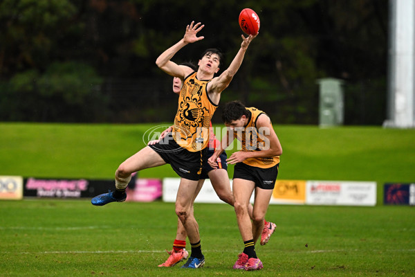 AFL National Development Championships U16 Boys 2025 - Western Australia v South Australia - A-60140749