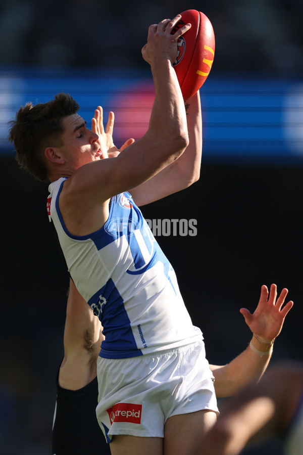 AFL 2025 Round 15 - Carlton v North Melbourne - A-60142599