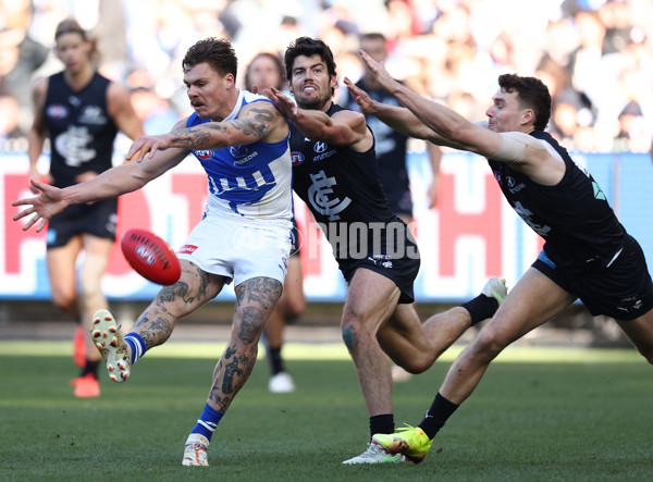 AFL 2025 Round 15 - Carlton v North Melbourne - A-60143010