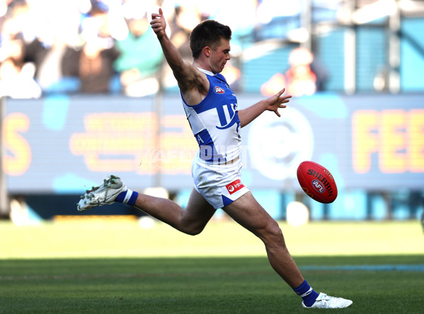 AFL 2025 Round 15 - Carlton v North Melbourne - A-60143018