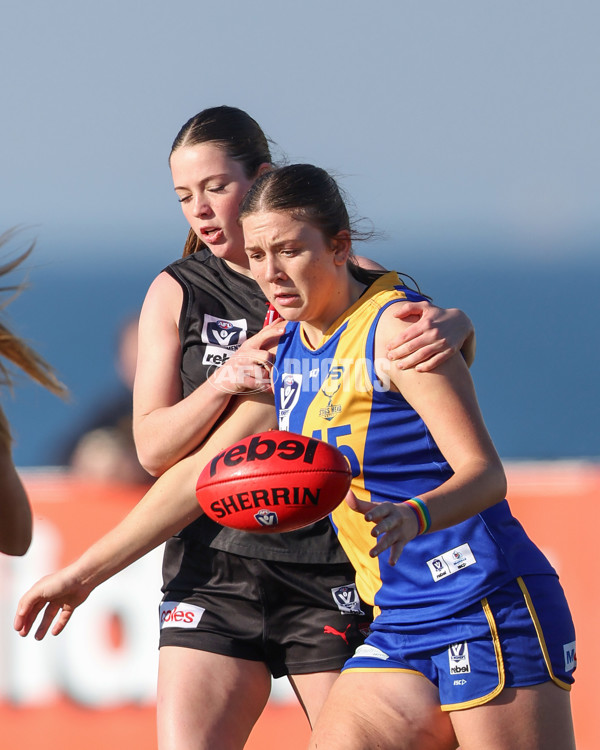VFLW 2025 Round 09 - Williamstown v Essendon - A-60144880