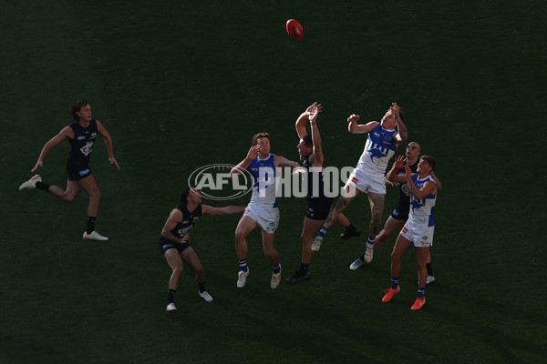 AFL 2025 Round 15 - Carlton v North Melbourne - A-60145372