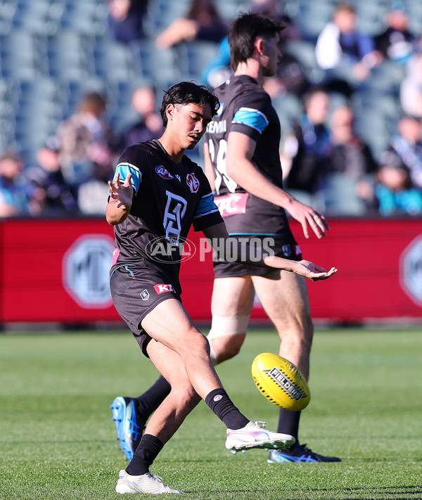 AFL 2025 Round 15 - Port Adelaide v Sydney - A-60147386