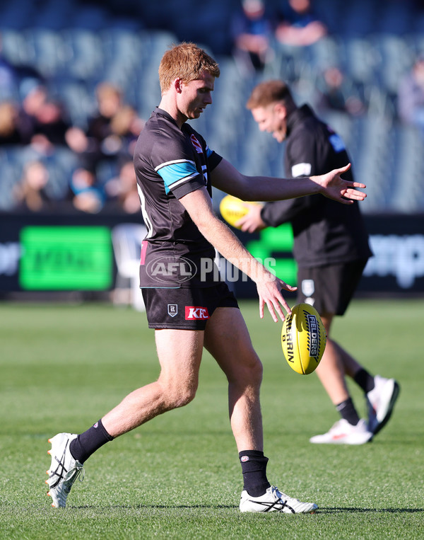 AFL 2025 Round 15 - Port Adelaide v Sydney - A-60147387