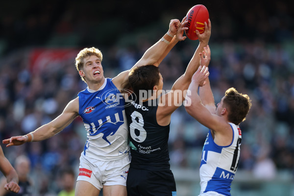 AFL 2025 Round 15 - Carlton v North Melbourne - A-60148066