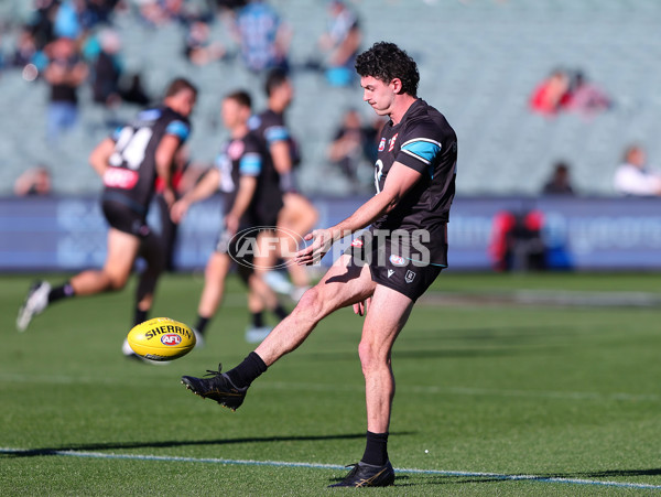 AFL 2025 Round 15 - Port Adelaide v Sydney - A-60148082