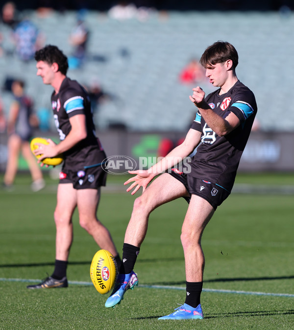 AFL 2025 Round 15 - Port Adelaide v Sydney - A-60148083