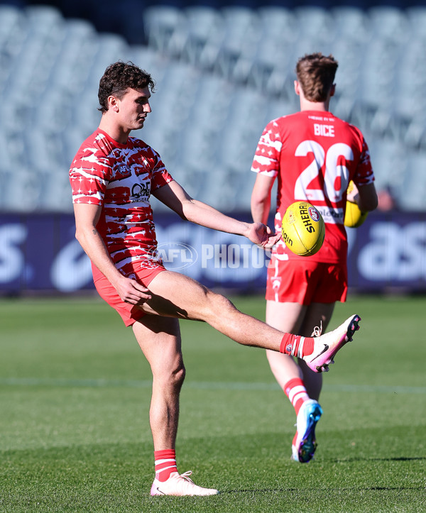 AFL 2025 Round 15 - Port Adelaide v Sydney - A-60148086