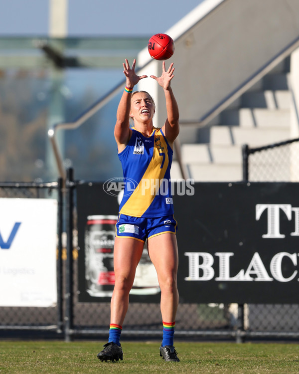 VFLW 2025 Round 09 - Williamstown v Essendon - A-60150425