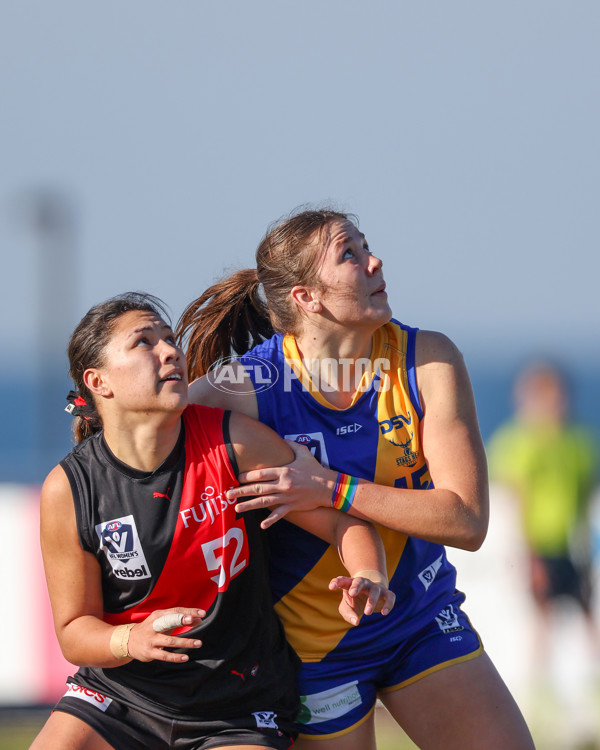 VFLW 2025 Round 09 - Williamstown v Essendon - A-60150426