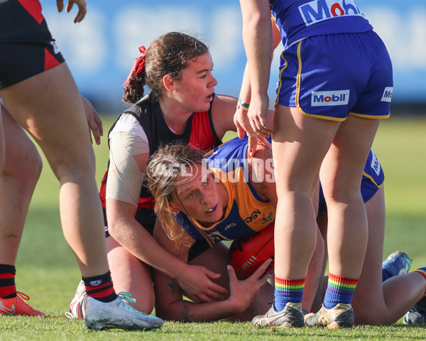 VFLW 2025 Round 09 - Williamstown v Essendon - A-60150435