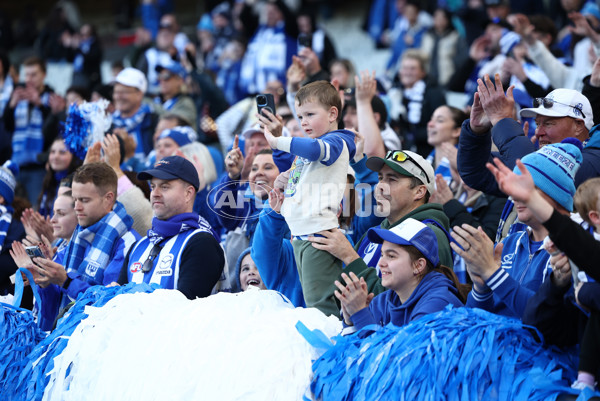 AFL 2025 Round 15 - Carlton v North Melbourne - A-60150490