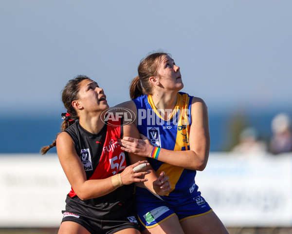 VFLW 2025 Round 09 - Williamstown v Essendon - A-60150525