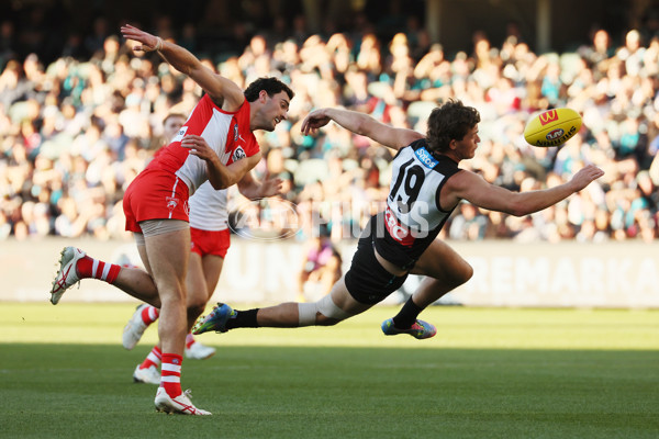 AFL 2025 Round 15 - Port Adelaide v Sydney - A-60152974