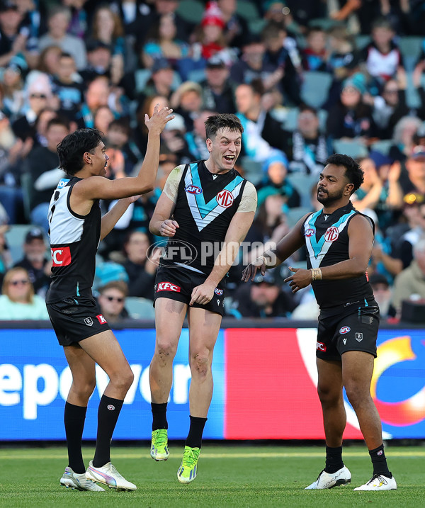 AFL 2025 Round 15 - Port Adelaide v Sydney - A-60153002