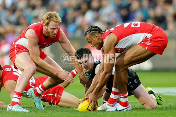 AFL 2025 Round 15 - Port Adelaide v Sydney - A-60153328