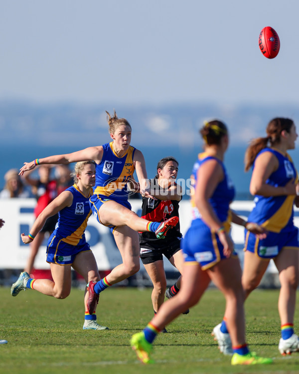 VFLW 2025 Round 09 - Williamstown v Essendon - A-60153348