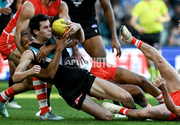 AFL 2025 Round 15 - Port Adelaide v Sydney - A-60153358