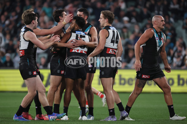 AFL 2025 Round 15 - Port Adelaide v Sydney - A-60156220