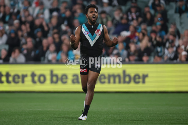 AFL 2025 Round 15 - Port Adelaide v Sydney - A-60156225