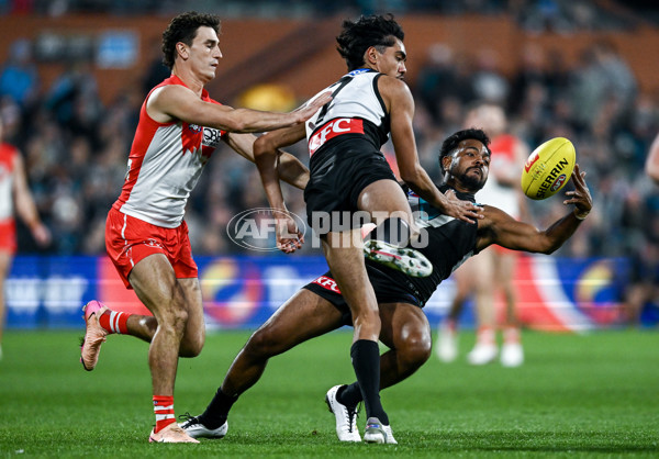 AFL 2025 Round 15 - Port Adelaide v Sydney - A-60156278