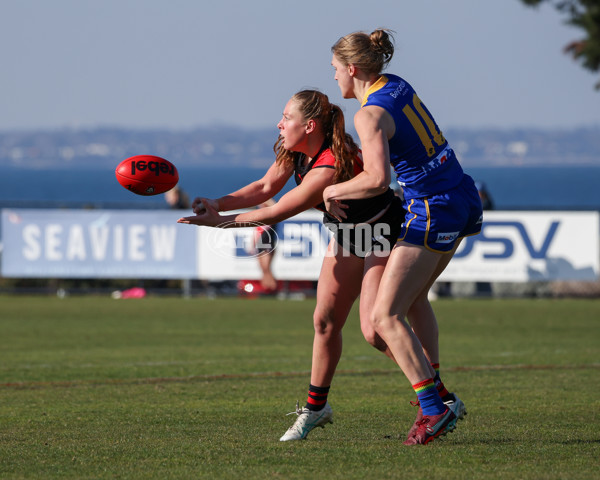 VFLW 2025 Round 09 - Williamstown v Essendon - A-60158739