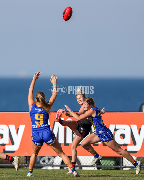 VFLW 2025 Round 09 - Williamstown v Essendon - A-60158755