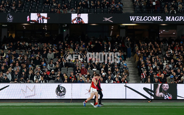 AFL 2025 Round 15 - Collingwood v St Kilda - A-60161718