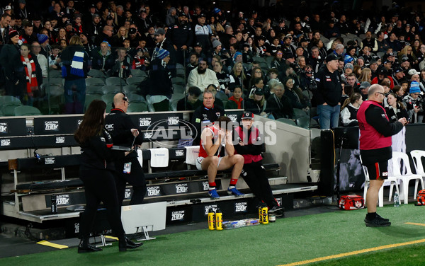 AFL 2025 Round 15 - Collingwood v St Kilda - A-60161723