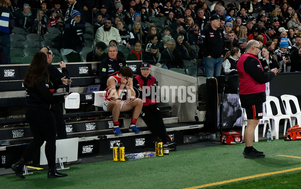 AFL 2025 Round 15 - Collingwood v St Kilda - A-60162504