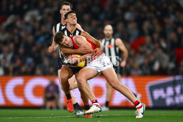 AFL 2025 Round 15 - Collingwood v St Kilda - A-60164803