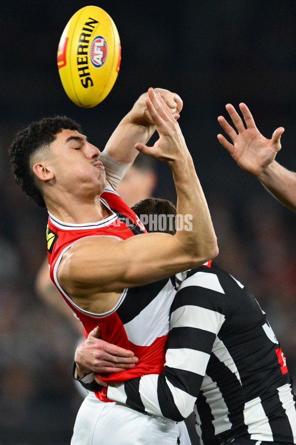 AFL 2025 Round 15 - Collingwood v St Kilda - A-60164805