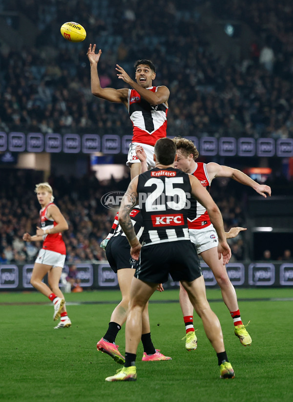 AFL 2025 Round 15 - Collingwood v St Kilda - A-60169168