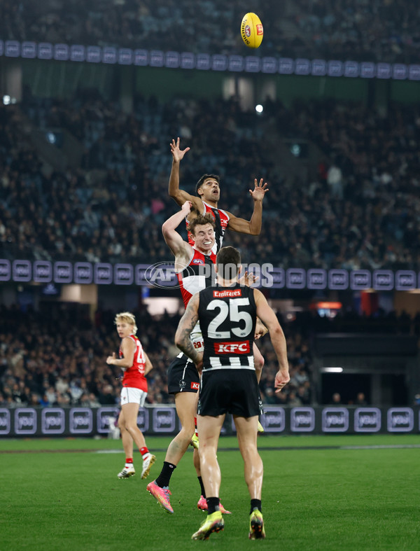 AFL 2025 Round 15 - Collingwood v St Kilda - A-60169169
